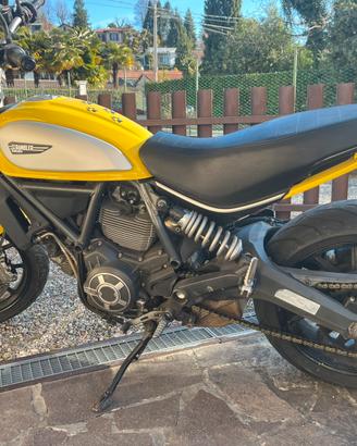 Dukati scrambler 800