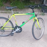 Bicicletta da ragazzo/a