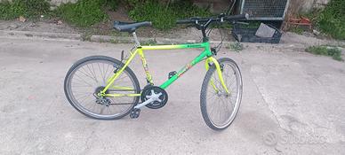 Bicicletta da ragazzo/a