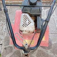 zappatrice BENASSI benzina 5,5 hp