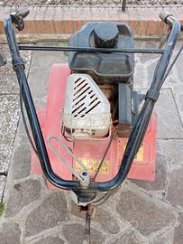 zappatrice BENASSI benzina 5,5 hp