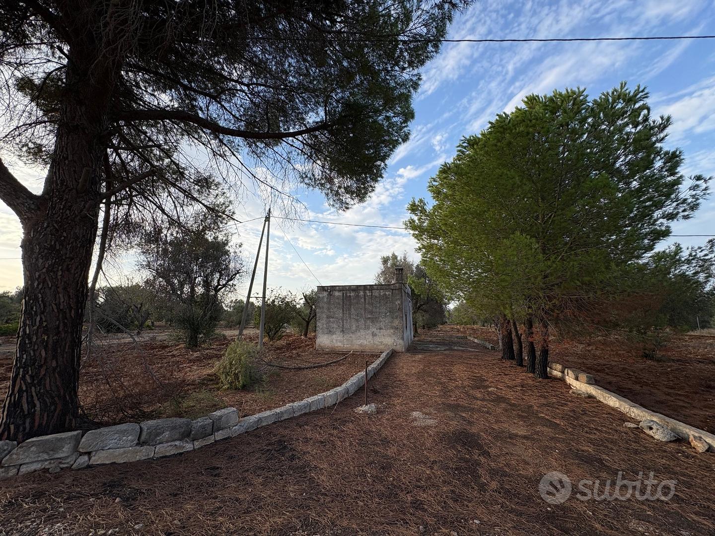 Terreno agricolo edificabile di 9030mq - Vista 3