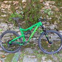 Santa Cruz Bronson