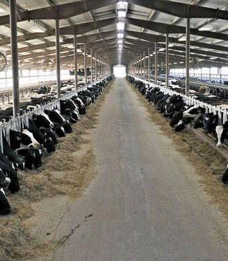 Terreno di 300000 m² a Lodi
