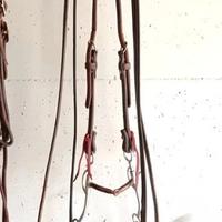 Testiera western completa