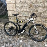 Ebike Bulls
