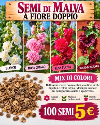 100 SEMI DI MALVA A FIORE DOPPIO, COLORI MISTI