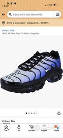 Tn squalo