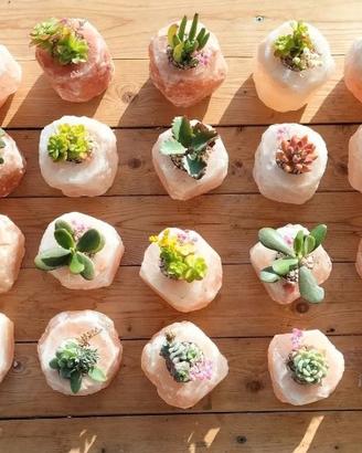 Bomboniere Vive per Eventi!