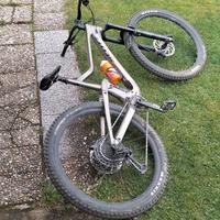 SCOTT RANSOM 920 2021