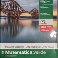 Libro 1 Matematica.verde 9788808529701