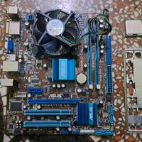 Scheda madre Asus