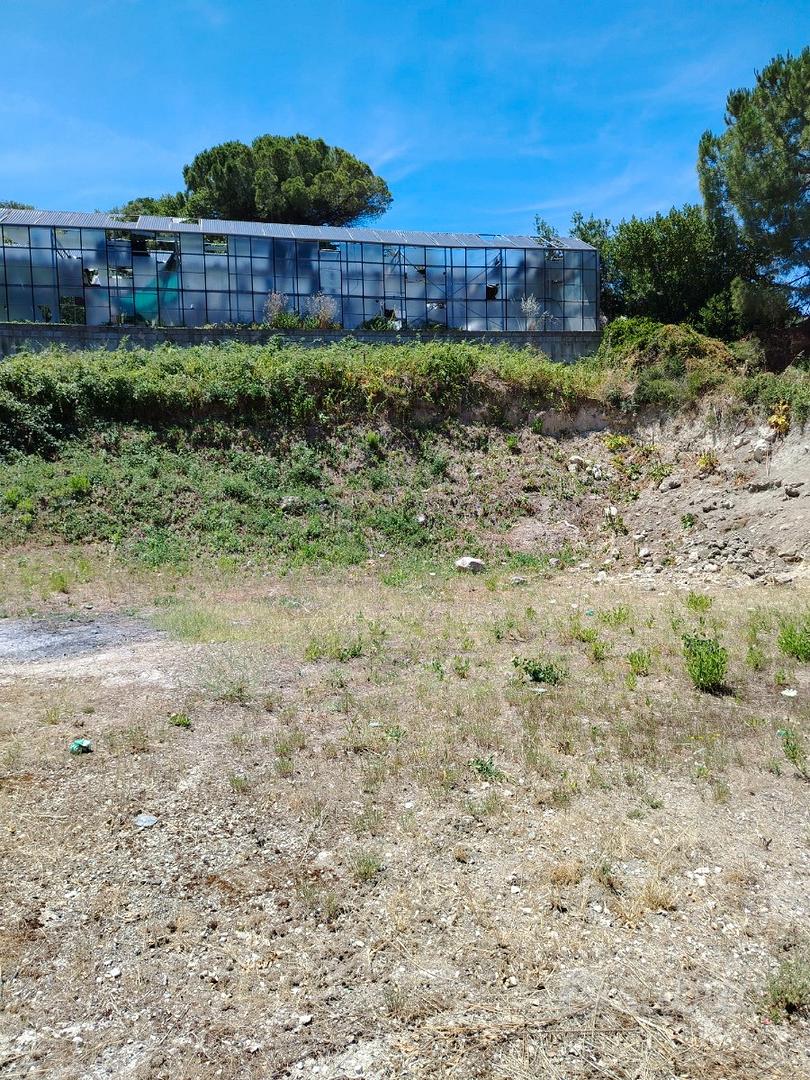 Terreno pianeggiante edificabile - Vista 5