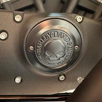 Coperchio fasatura Willie G Skull