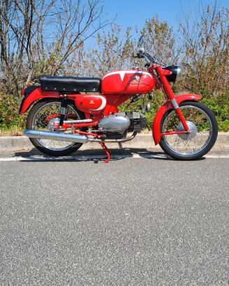 Splendido Motobi 125 Imperiale 4T (1966) -FMI