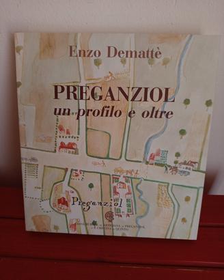 Libro Enzo Demattè Preganziol 
