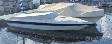 Bruno abbate primatis 25