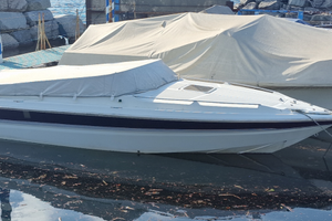 Bruno abbate primatis 25