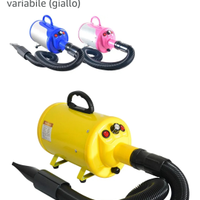 Asciugacapelli professionale x cani