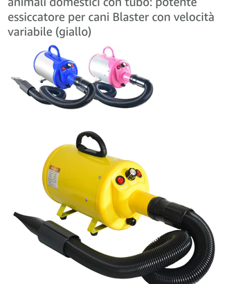 Asciugacapelli professionale x cani