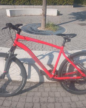 bici rockrider