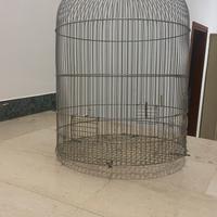 Gabbia per uccelli