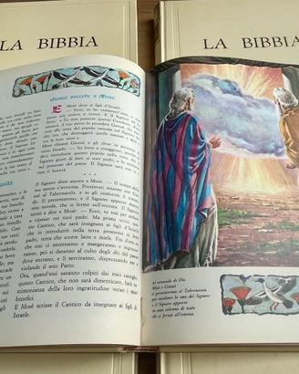 Raccolta La Bibbia + La Storia della Chiesa 6 Vol