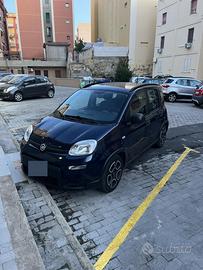 Panda Hybrid city life