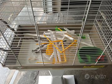 gabbia per uccelli con carellino