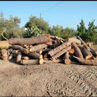 Legna di pino disponibile