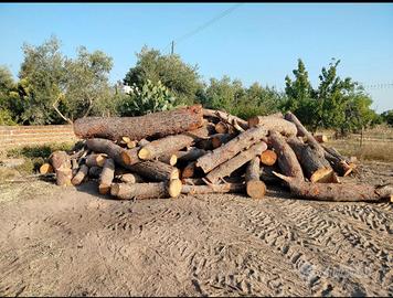 Legna di pino disponibile