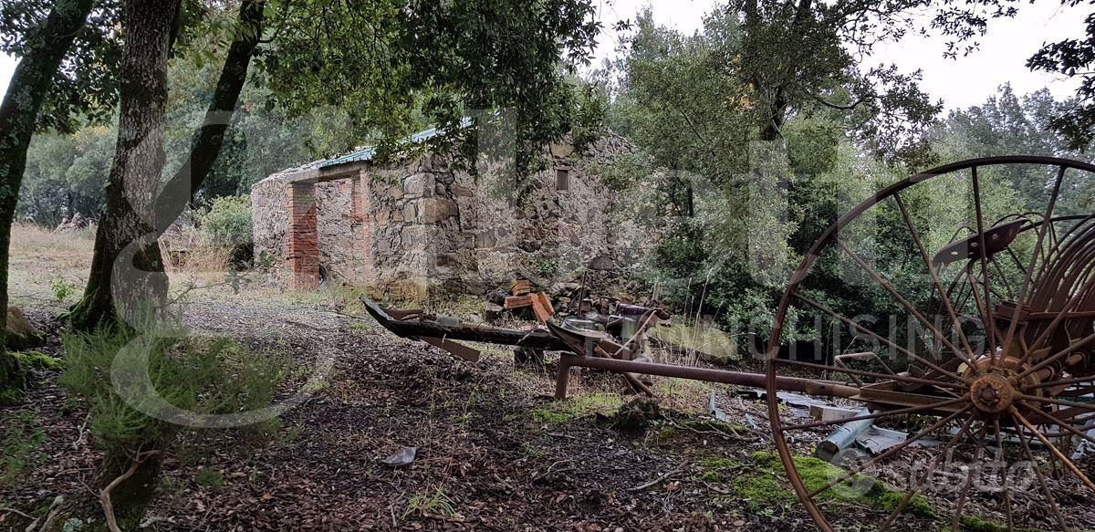 Rustico/Casale/Corte Massa Marittima [rif.52VRG] - Vista 4