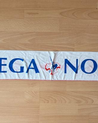 Sciarpa “Lega Nord”