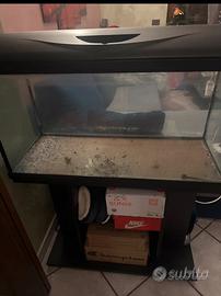 Acquario 100Litri