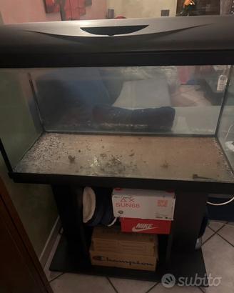 Acquario 100Litri