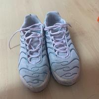 Tn rosa