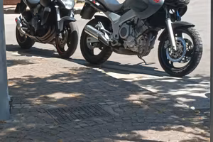TDM 850 