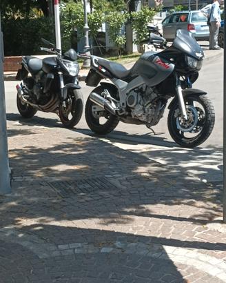 TDM 850 