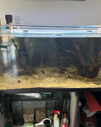 Acquario in acrilico