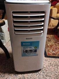 Climatizzatore  portatile