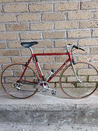 Bici Colnago Taglia 56