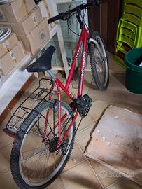 Biciclette