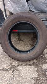 Gomme Invernali 225/65 R17 106H