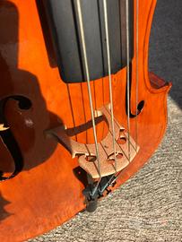 Violoncello 4/4