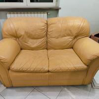 Divani in pelle 
