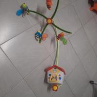 apine 