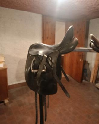 sella kiffer excelence