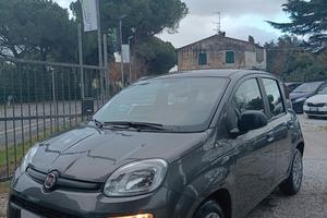 Fiat Panda 1.2 GPL 79000KM ANNO 2021
