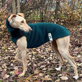 Maglia calda per Levrieri -Whippet-Galgo-Greyhound