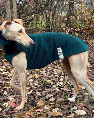 Maglia calda per Levrieri -Whippet-Galgo-Greyhound